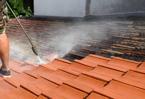 Why Choose Our Certified Pressure Washing Experts for Your Project Needs in Carrollwood, FL?