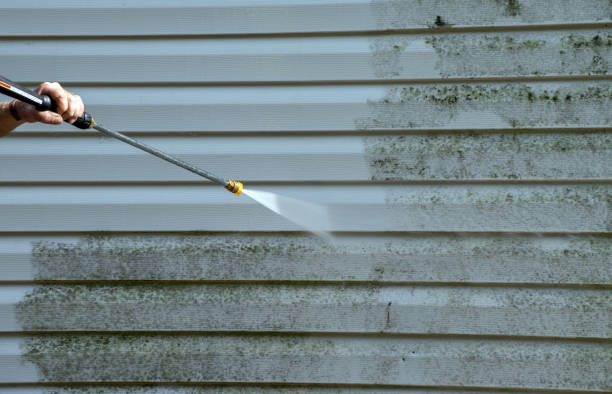 Pressure Washing Brick in Carrollwood, FL
