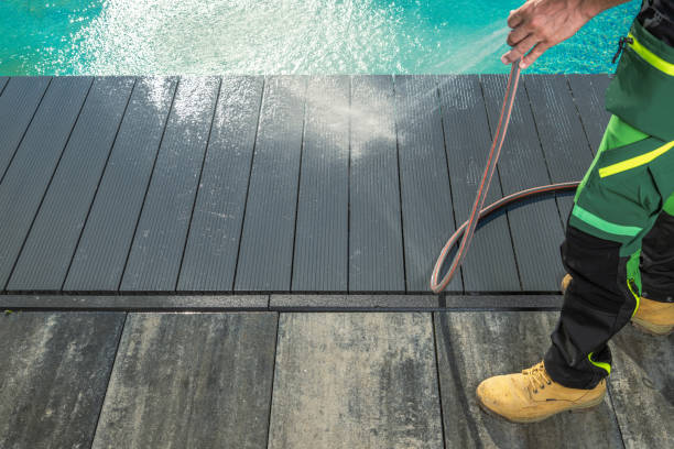 Best Affordable Power Washing  in Carrollwood, FL