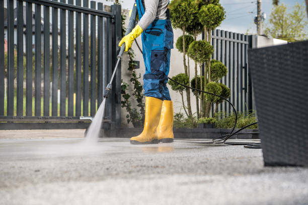 Best Pressure Washing Driveway  in Carrollwood, FL