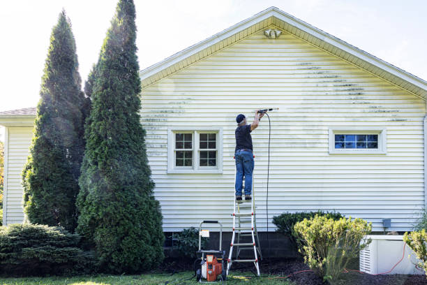 Reliable Carrollwood, FL Pressure Washing Solutions