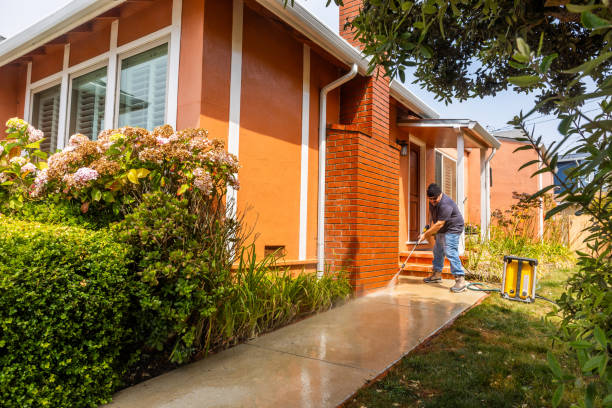 Best Pressure Washing Estimates  in Carrollwood, FL