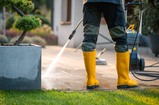 Best Affordable Pressure Washing  in Carrollwood, FL